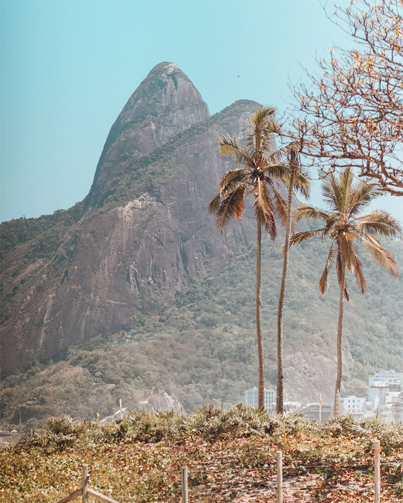 Advogados do escritório Marcio Eduardo Tenório Advogados no Rio de Janeiro